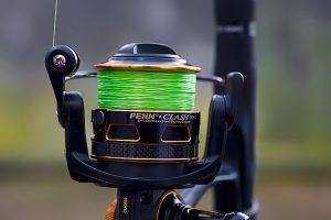 What fishing line to use for trout?